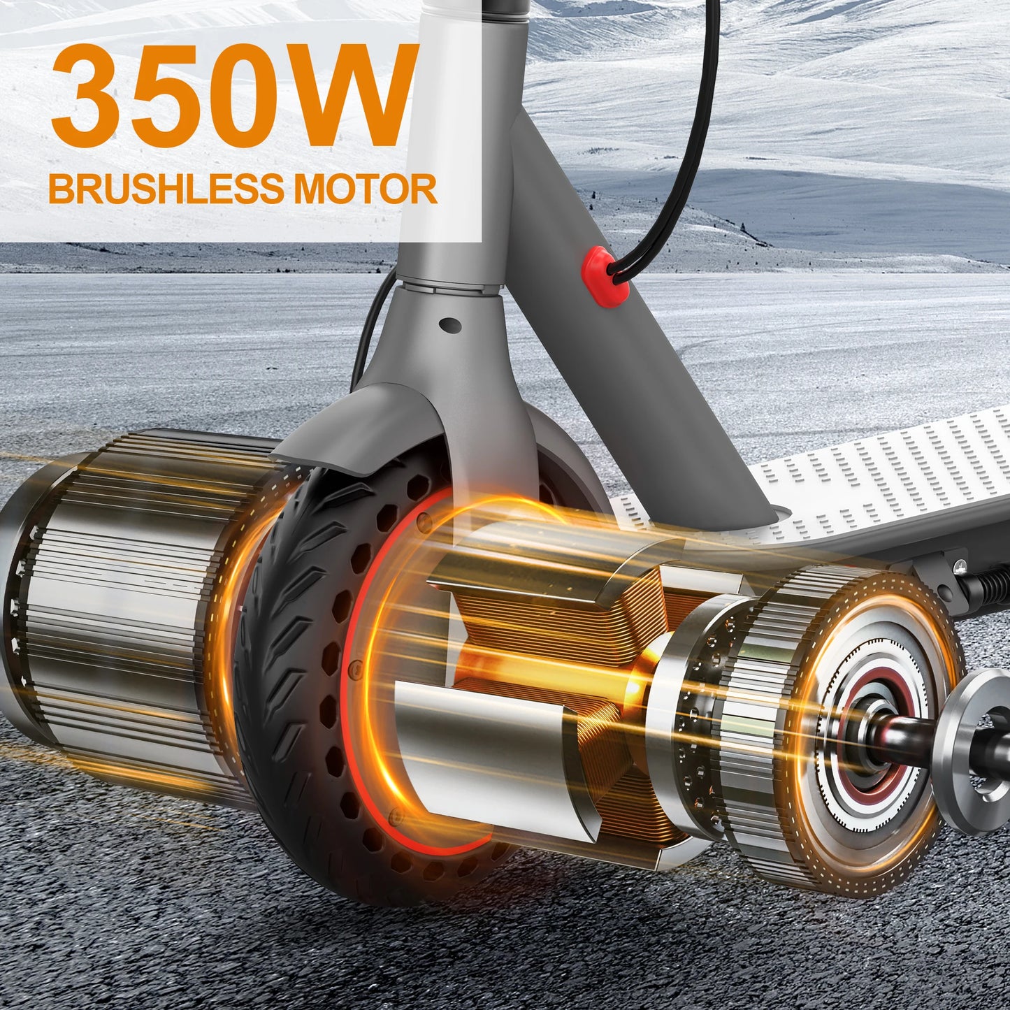 E-scooter électrique 350/500 WATTS 36V